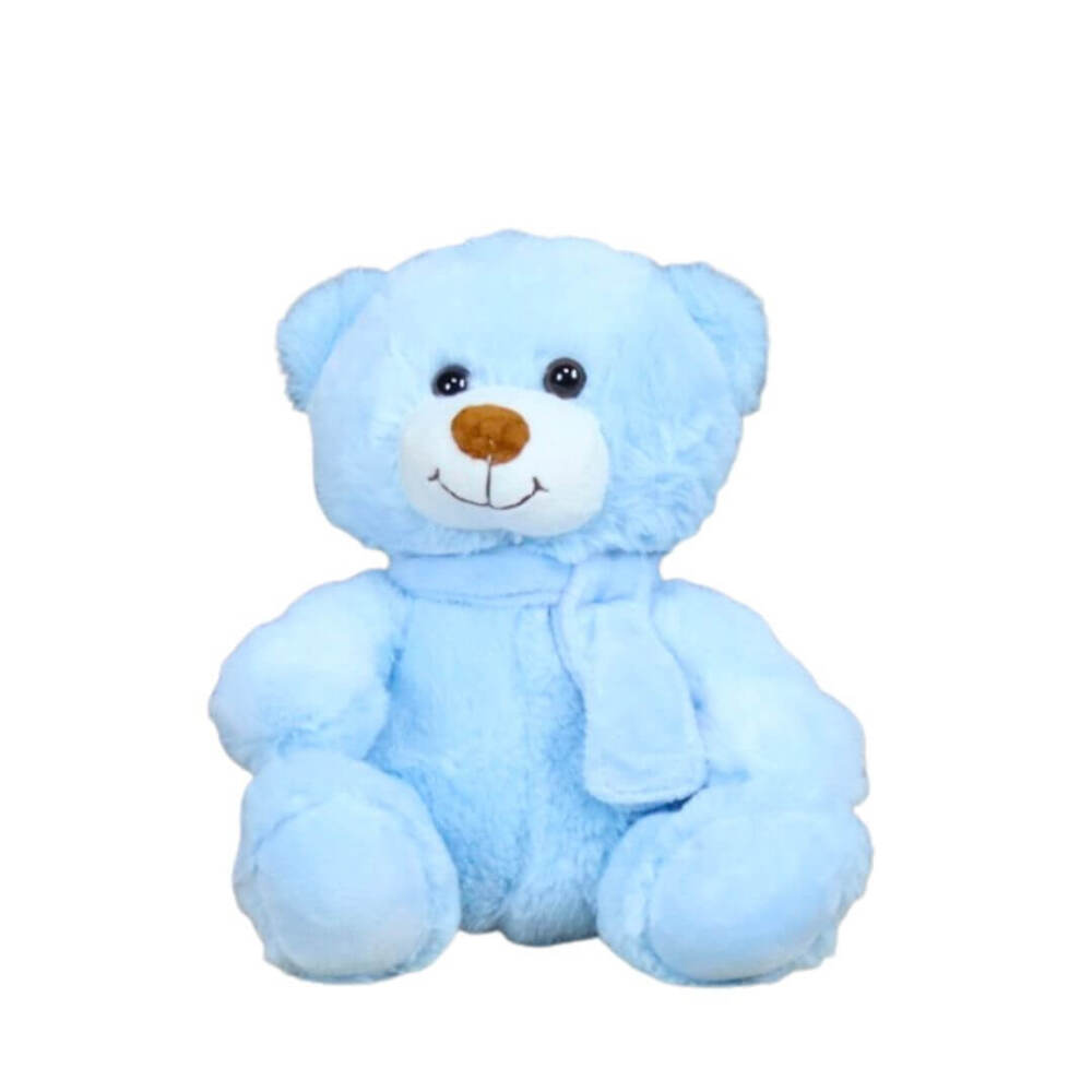 Baby Boy Bear