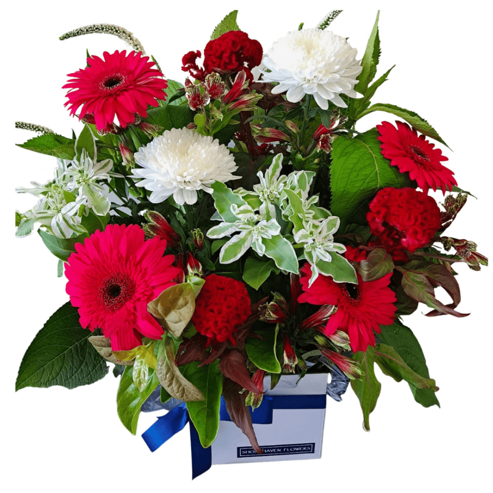 Designers Choice Christmas Box