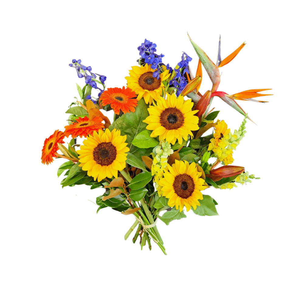 Tropical Sunburst