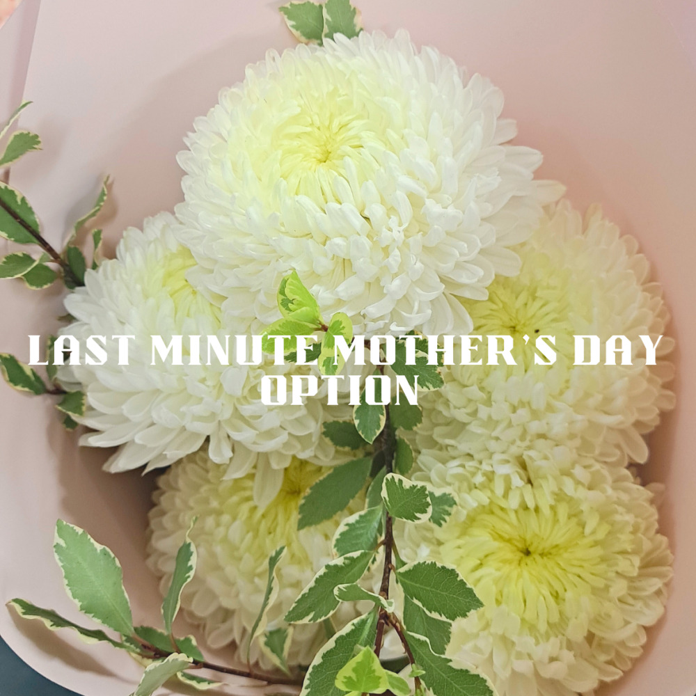 BOMADERRY ONLY - last minute mothers day option